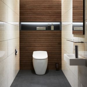 Hộp đựng giấy vệ sinh âm tường Krene BP-301W Cao Cấp – Chất Liệu Thép Không Gỉ, Kết Hợp Kẽm Mạ Màu Crom Bền Đẹp, Hoàn Thiện Sang Trọng Cho Phòng Tắm