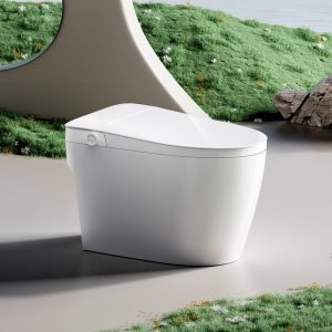 Bồn cầu xả cơ